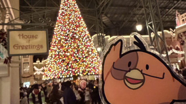 【雑記】2025年ありがとうございました